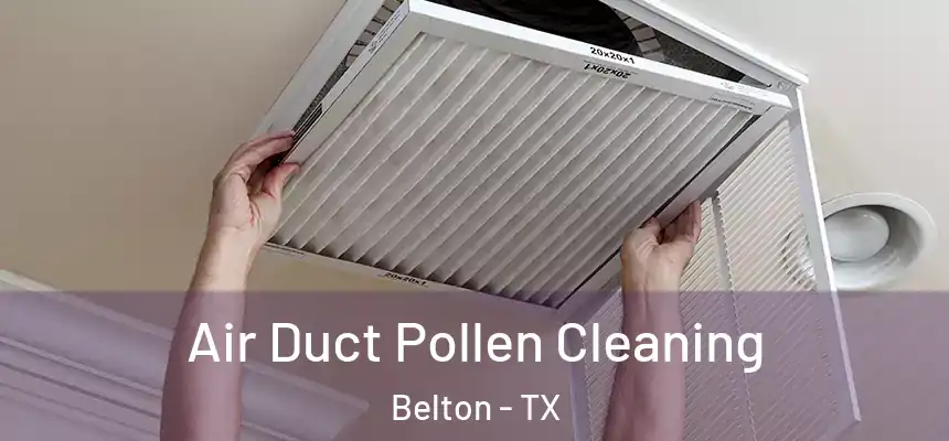 Air Duct Pollen Cleaning Belton - TX