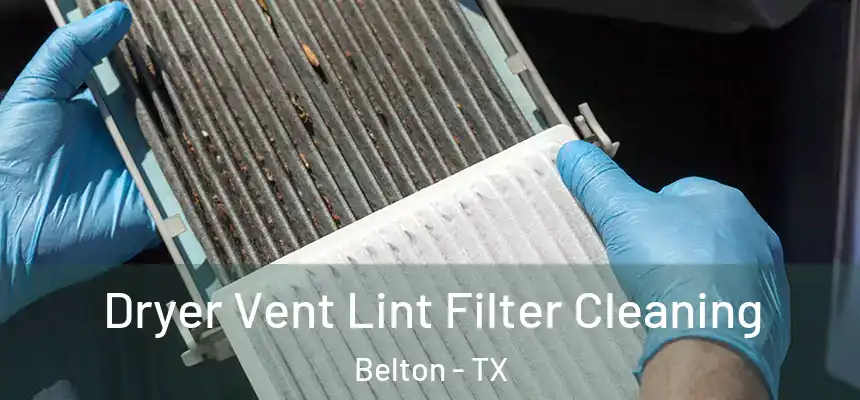  Dryer Vent Lint Filter Cleaning Belton - TX
