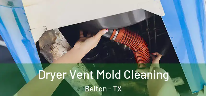  Dryer Vent Mold Cleaning Belton - TX