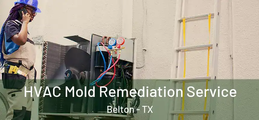  HVAC Mold Remediation Service Belton - TX