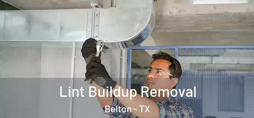  Lint Buildup Removal Belton - TX