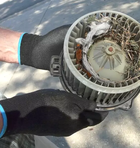 About Air Duct Rat Removal in Belton, TX