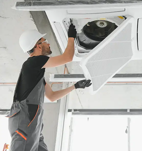 About Air Duct Rodent Removal in Belton, TX