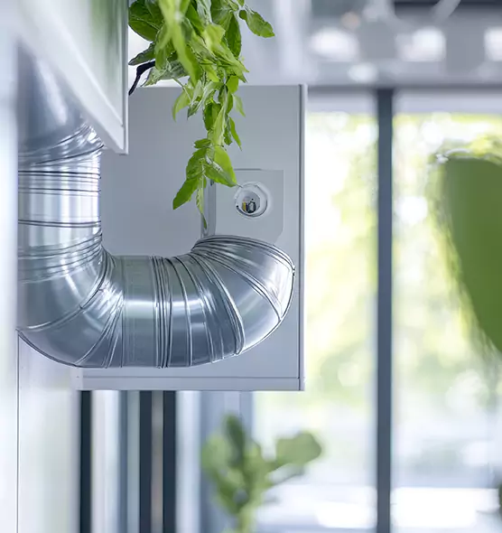 Professional Eco-Friendly Duct Cleaning Services in Belton, TX