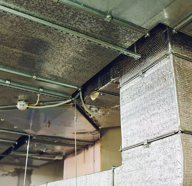 Why Homeowners & Businesses Trust Us in Belton, TX?